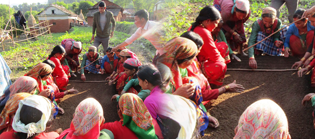 सहकारीले बढाउँदै ग्रामीण महिलाको आयस्तर