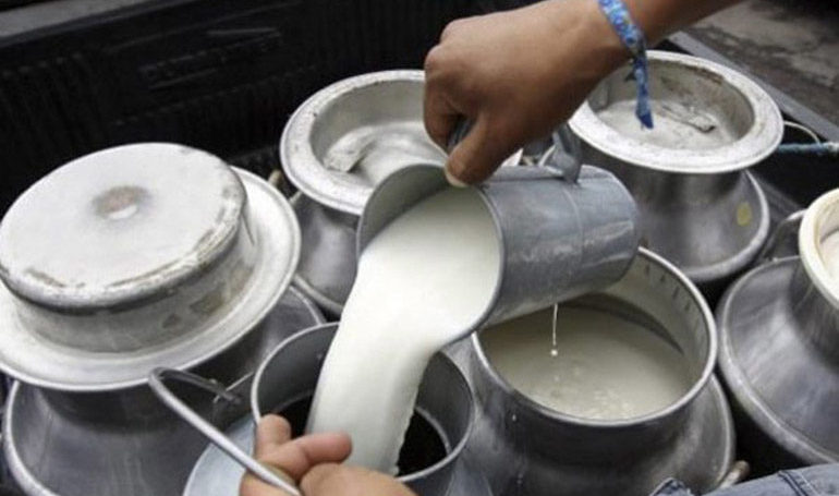 कोराना कहर : सहकारीले उत्पादन गर्ने दूध ढुवानी रोकियो