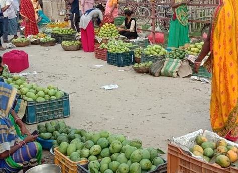 आँपको उचित मूल्य नपाएकाे किसानको गुनासो