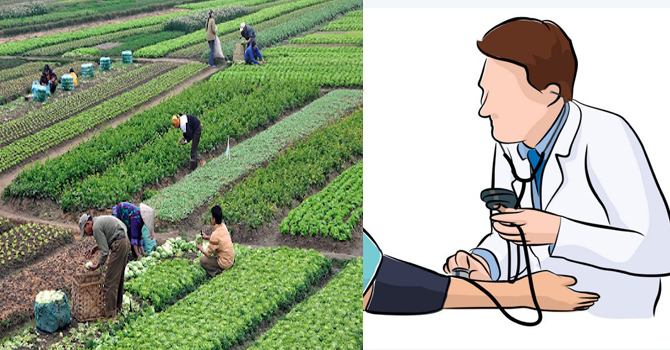 कञ्चनपुरका स्थानीय तहको प्राथमिकता कृषि र स्वास्थ्य