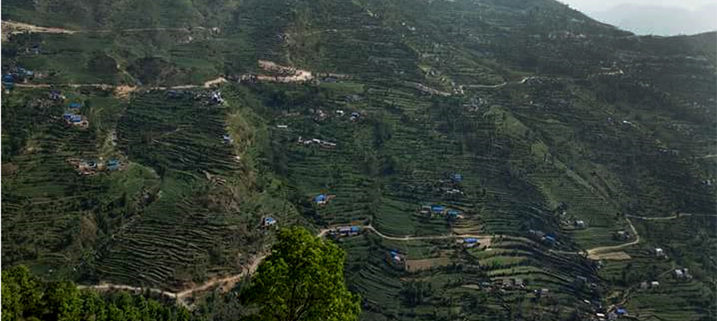 डोजर चालक नै इञ्जिनियर, केही दिनको खुसी वर्षौंको पीडा