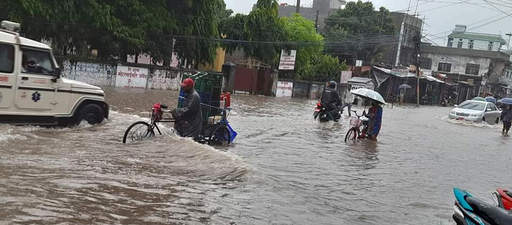 धनगढीका तीन सय घर डुबानमा, ५५ घरमा क्षति