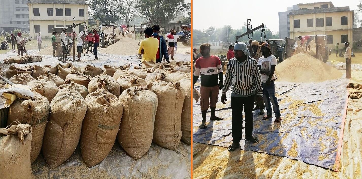 बाँकेका किसानलाई धान बिक्री गर्न भ्याईनभ्याई (फोटो फिचर)