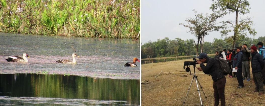 सुदूरपश्चिममा जलपक्षीको गणना हुँदै