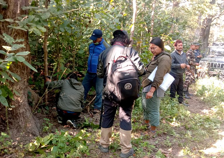 बाघ प्रभावित क्षेत्रमा पुग्यो प्राविधिक टोली, क्यामेरा जडान शुरु
