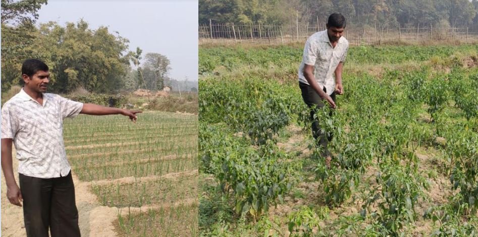 सीप र जाँगरले विदेशभन्दा स्वदेशमै कमाइ चार गुणा बढी