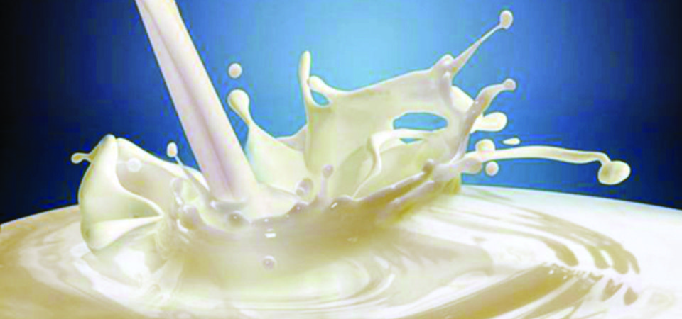 दूध बिक्रीका लागि बजार खोज्दै सरकार