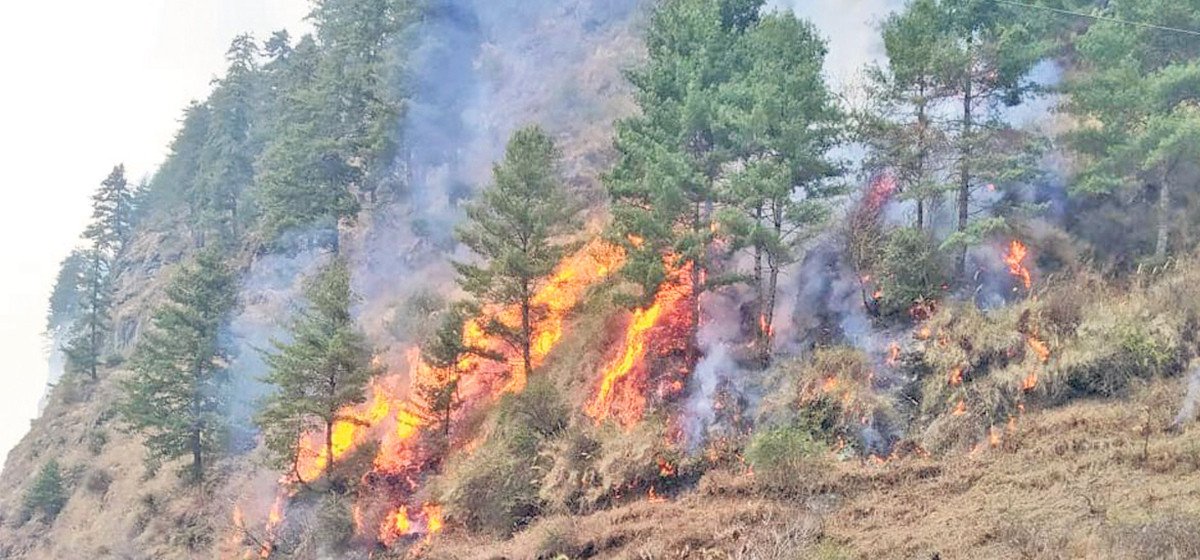 तीन दिनदेखि लागेको डढेलो अझै नियन्त्रण बाहिर