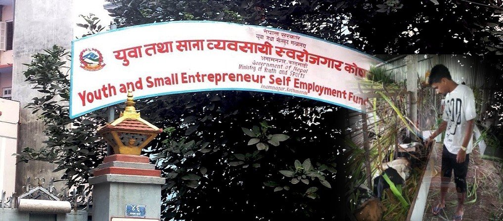 स्वरोजगार कोषले १२ हजार बेरोजगार युवालाई स्वरोजगार बनाउने