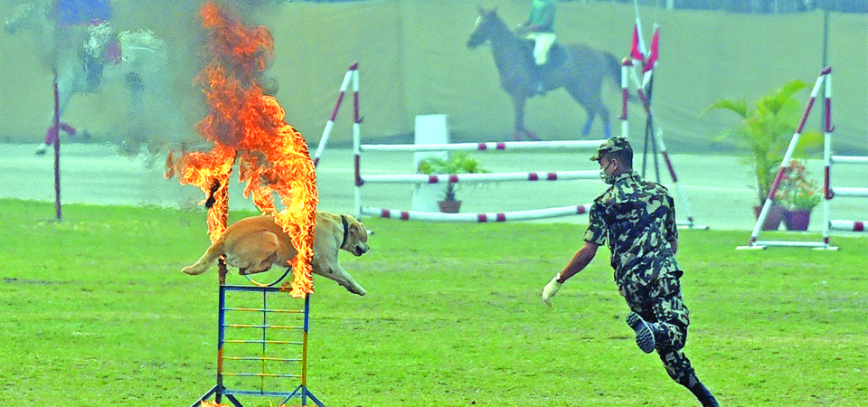 आज घोडेजात्रा घोडा किन्ने श्री ३ कै !