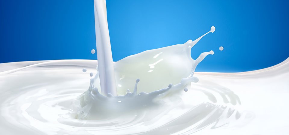 डीडीसीलाई दूधको अभाव