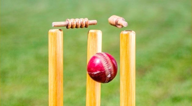 पीएम कप क्रिकेट : एपिएफ फाइनलमा