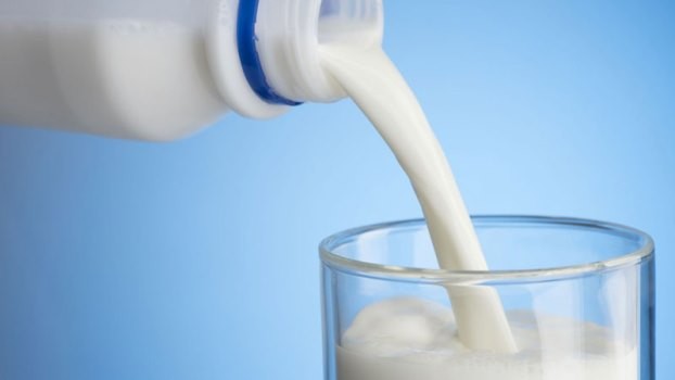 २५ प्रतिशत मात्र दूध बिक्री