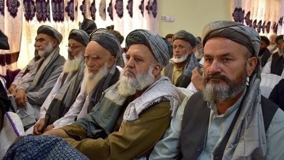 अफगानी धार्मिक विद्वानहरूद्वारा युद्धविरामका लागि आह्वान