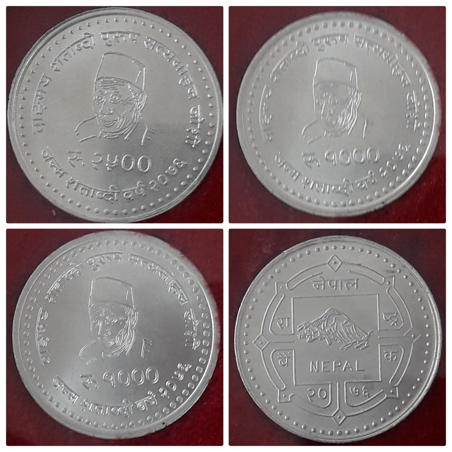 सत्यमोहन जोशीको तस्वीर अंकित सिक्का निस्कासन